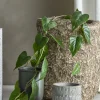 Bloomingville - Anthurium Kunstig Plante - Grøn, Plastik, 117 cm