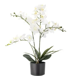 Bloomingville - Orchid Kunstig Plante