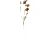 Bloomingville - Poppy Kunstig stilk - Brun, Plastik