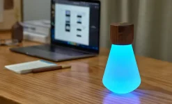 Gingko - Pentagon Light bulb Lamp Large Natural Walnut Wood