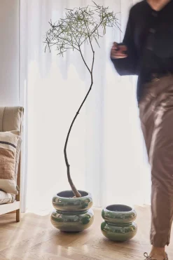 Oyoy - Plantekrukke - Kupla - Small - Grøn