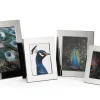 Philippi - Celeste frame, 10 x 15 cm