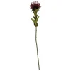 Present time - Artificial plant Protea Flower small burgundy red