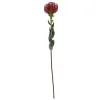 Present time - Artificial plant Protea Flower large burgundy red