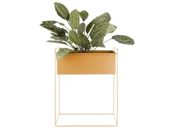 Present time - Plant pot set Essence straight iron ochre yellow