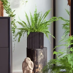 SQUARELY COPENHAGEN - Plantekasse - GrowON - Sort Ask