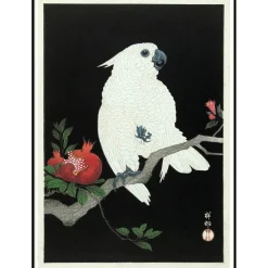 The Dybdahl - Plakat 30x40 cm. - Cockatoo & Pomegranate - Papir